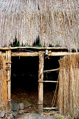 Image showing Entrance to a Kauhale--traditional Hawaiian living site