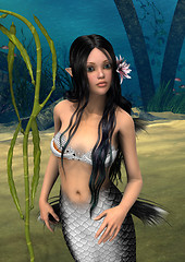 Image showing Mermaid