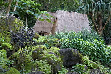 Image showing Kauhale--Traditional Hawaiian living site