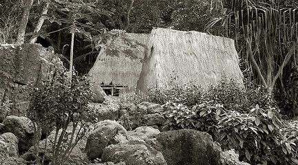 Image showing Kauhale--Traditional Hawaiian living site