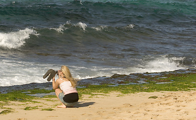 Image showing Woman Photographing Sea Turtles