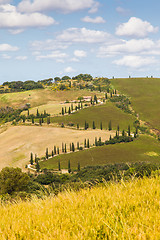 Image showing La Foce