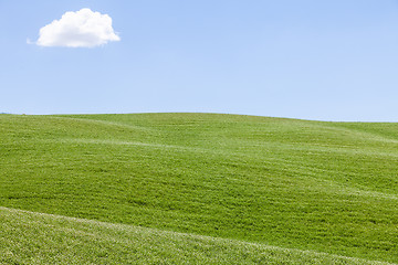 Image showing Green field in Tuscany