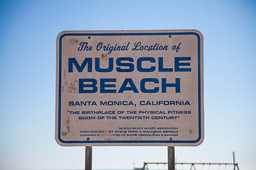 Image showing Muscle Beach