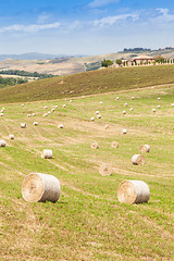 Image showing Tuscany country