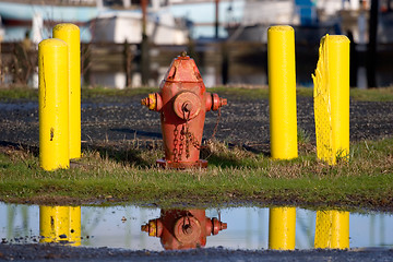 Image showing Fire Hydrant and Reflection