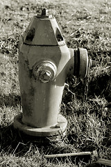 Image showing Fire Hydrant