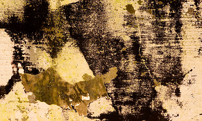 Image showing Grunge Background 27