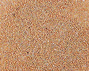 Image showing Mustard seeds background