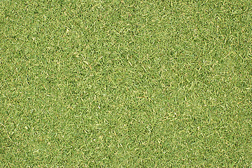 Image showing Dill tops or grass clippings background