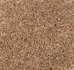 Image showing Cumin seeds background