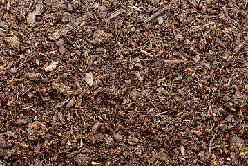 Image showing Compost, soil or dirt background