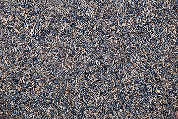 Image showing Niger seed background 