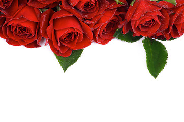 Image showing Red Roses