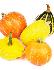 Image showing Squash and Pumpkins