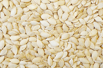 Image showing closeup shot of dry pumpkin seeds