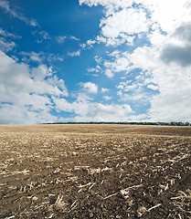 Image showing black ploughed field under blue cloudy sky after harvesting