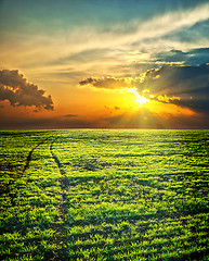 Image showing last sunrays over green field with path