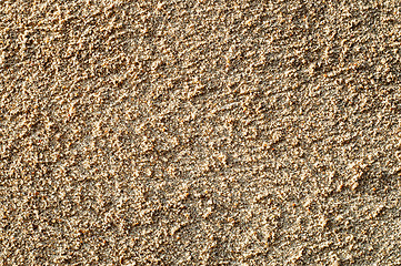 Image showing texture as sand closeup