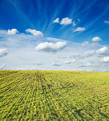 Image showing green field under cloudy sky