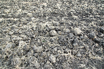 Image showing arable earth in autumn after harvesting