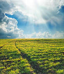 Image showing green field with path under sun