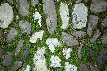 Image showing cobbles with moss on a pavement