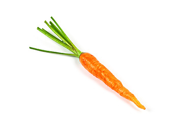 Image showing fresh carrot vegetable