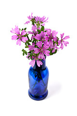 Image showing wild violet flowers in blue bottle 