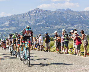 Image showing The Cyclist Andy Schleck