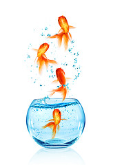 Image showing Goldfish jumping.