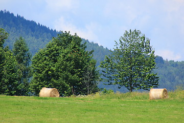 Image showing Hay bales