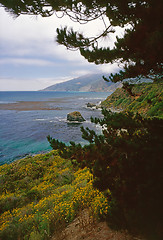 Image showing Big Sur