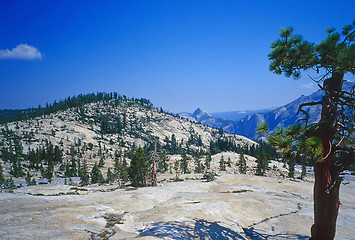 Image showing Yosemite National Park