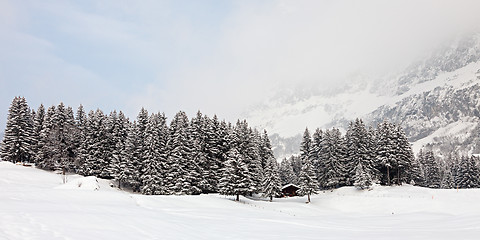 Image showing Snowstorm