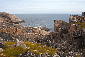 Image showing rocky sea shore