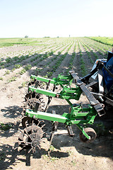 Image showing special equipment on tractor for weed