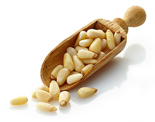 Image showing wooden scoop with pine nuts