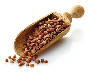 Image showing wooden scoop with buckwheat