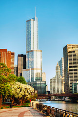Image showing Trump International Hotel and Tower in Chicago, IL in morning