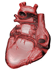 Image showing Heart Organ