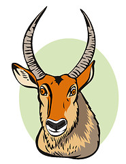 Image showing Defassa Waterbuck