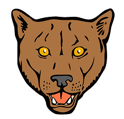 Image showing Puma Woodcut Retro
