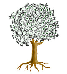 Image showing Money Tree