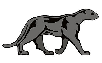 Image showing Panther Walking