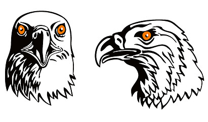 Image showing Eagle Head