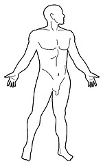 Image showing Male Human Anatomy Silhouette