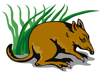 Image showing Bandicoot Bush Retro