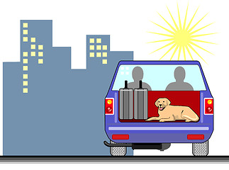 Image showing Dog in a Car