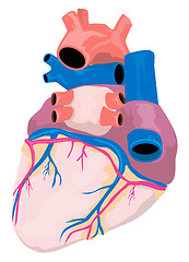 Image showing Heart Organ Retro